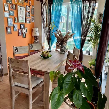 Apartment First Sea Line Coast ,,diana
